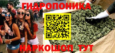 ГАЛЛЮЦИНОГЕННЫЕ ГРИБЫ Гусиноозёрск