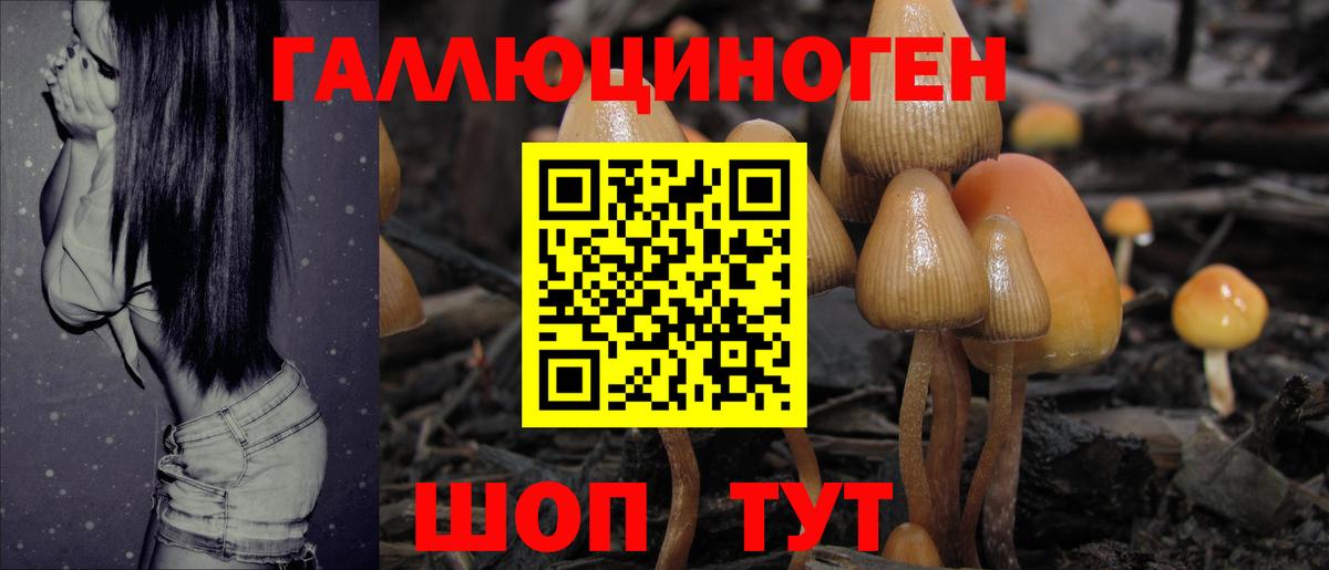 Псилоцибиновые грибы мицелий Мичуринск